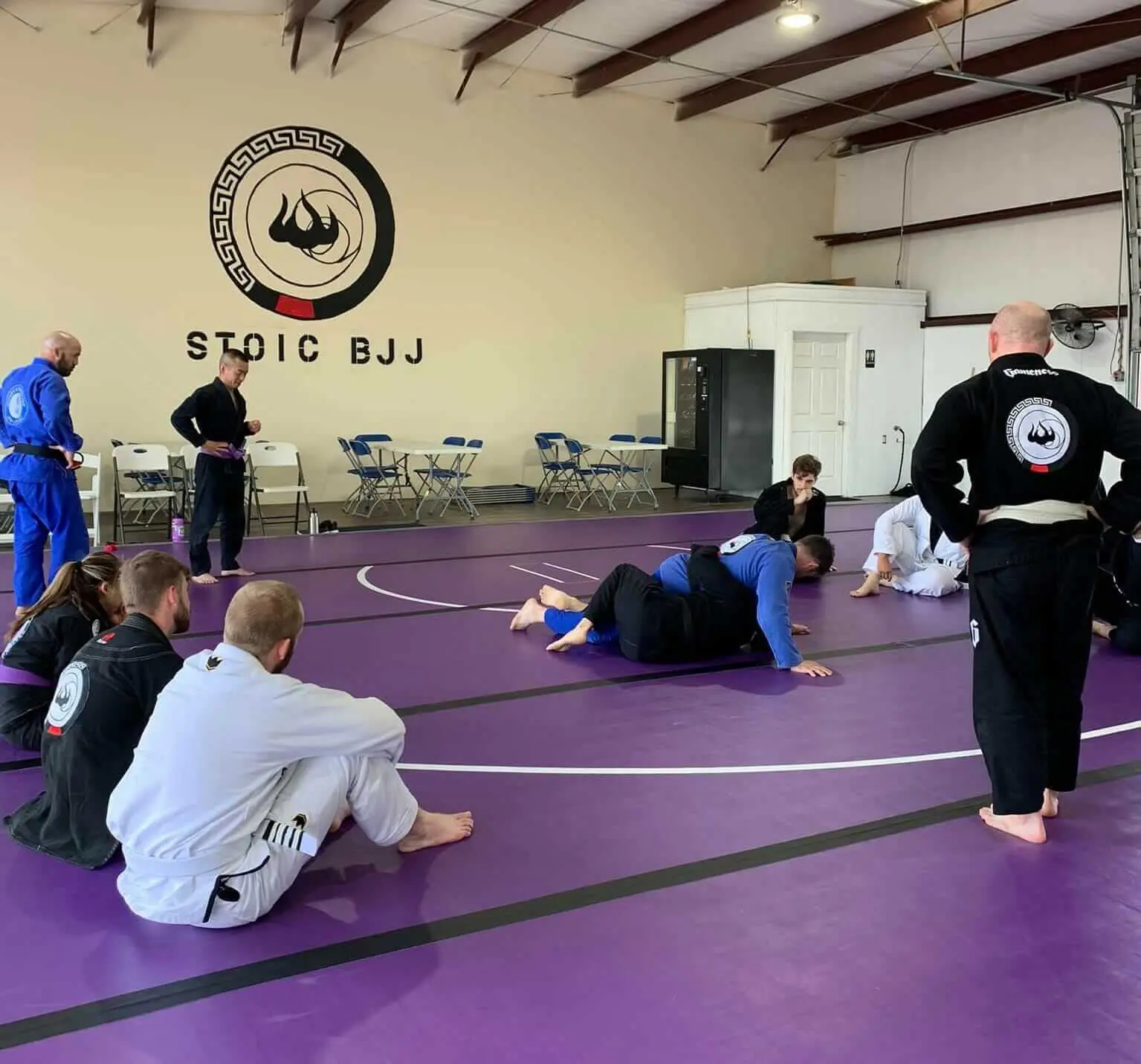 5 Basic BJJ Positions to Know